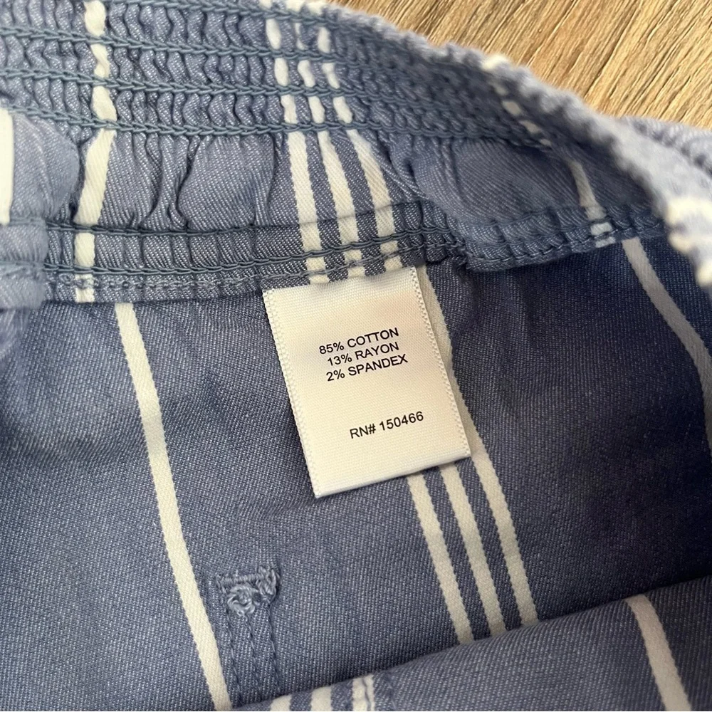 Market & Spruce Striped Shorts - Picture 3 of 4